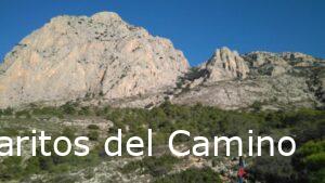 Puig Campana