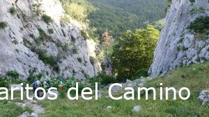 Senda de Camille, E5, Ref. de Linza al Camping Selva de Oza