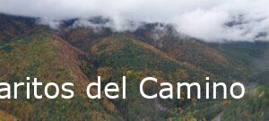 Fanlo, Bosque de la Pardina del Señor