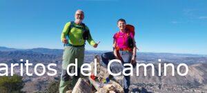 Petrer, Silla del Cid