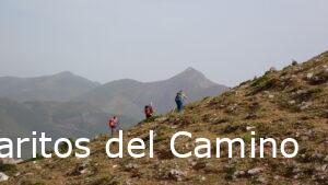 La Senda de las Merinas, Etapa 2, de Torrebarrio a San Emiliano
